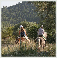 Paseos a caballo