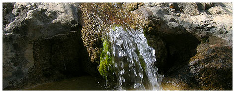 Puente la Rambla - Casas Rurales